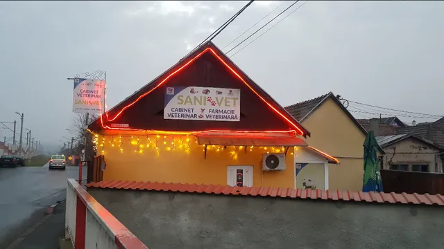 Clădirea Sani-Vet cu luminițe, seara